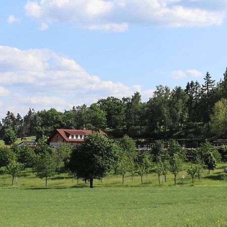 Ubytovani Pod Haniperkem Hotell Vodňany Eksteriør bilde