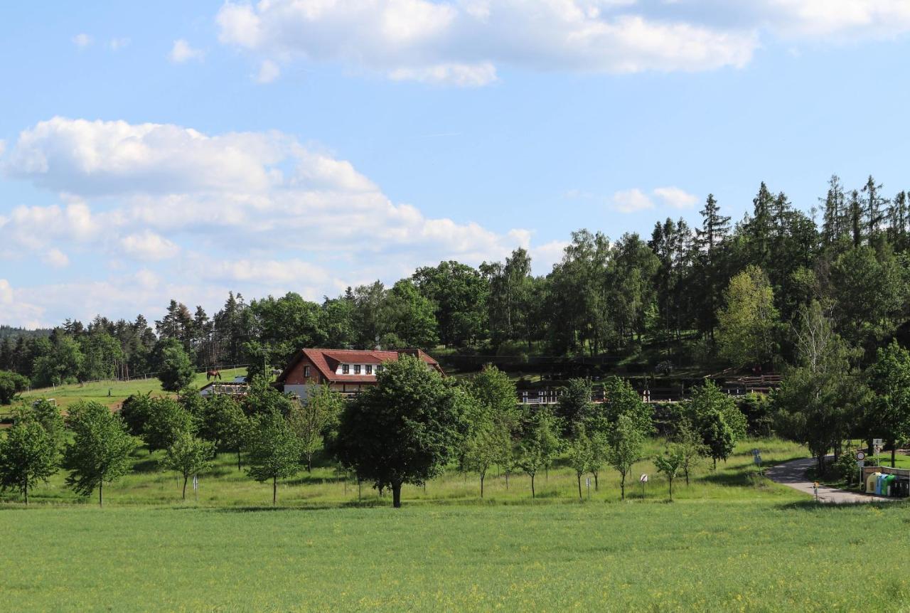 Ubytovani Pod Haniperkem Hotell Vodňany Eksteriør bilde