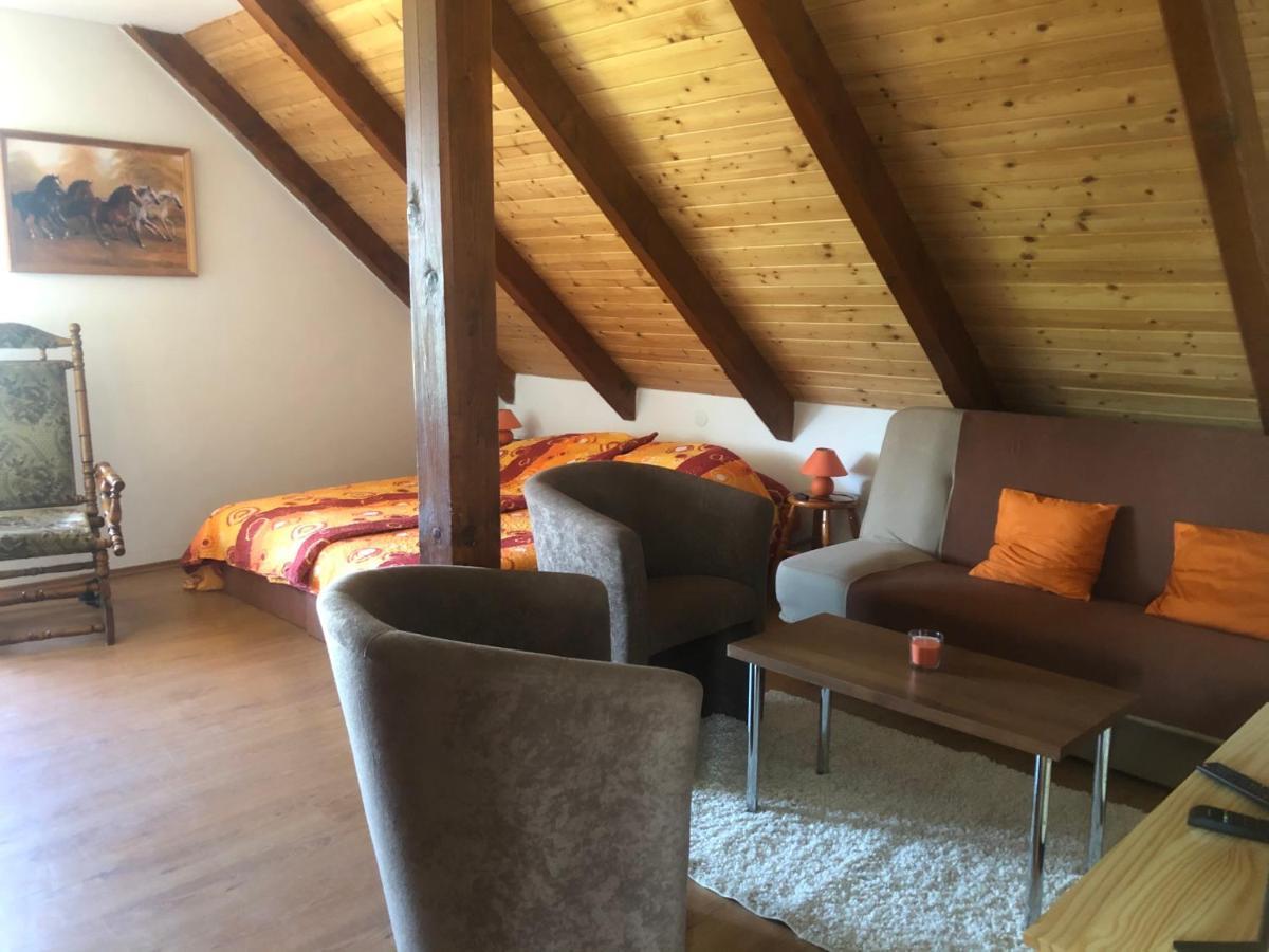Ubytovani Pod Haniperkem Hotell Vodňany Eksteriør bilde