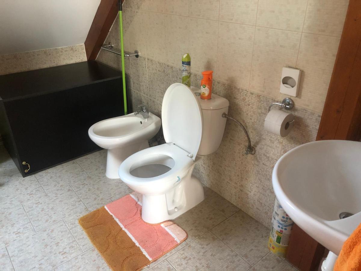 Ubytovani Pod Haniperkem Hotell Vodňany Eksteriør bilde